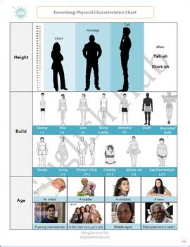 Height: Physical Characteristics and Modelling Journey