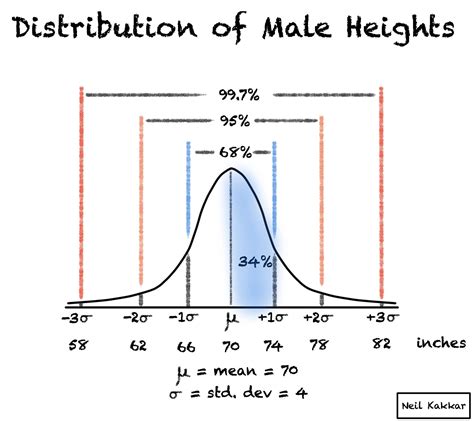 Height - A Standout Statistic