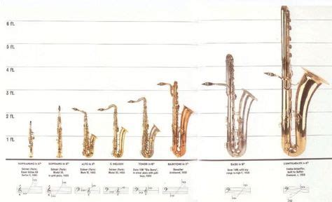 Height Matters: How Tall is Bonita De Sax?