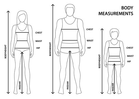 Height and Body Measurements: Insights and Details
