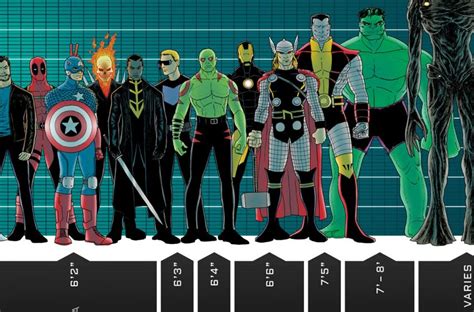 Height and Body Measurements: Stats to Marvel At