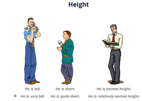 Height and Physical Appearance: Breaking Stereotypes