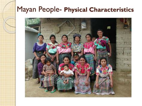 Height and Physical Appearance of Maya Souls