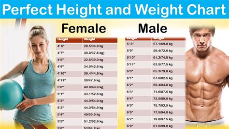 Height and Physique: