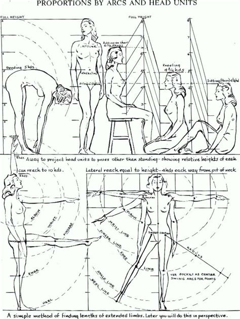 Height in Perspective