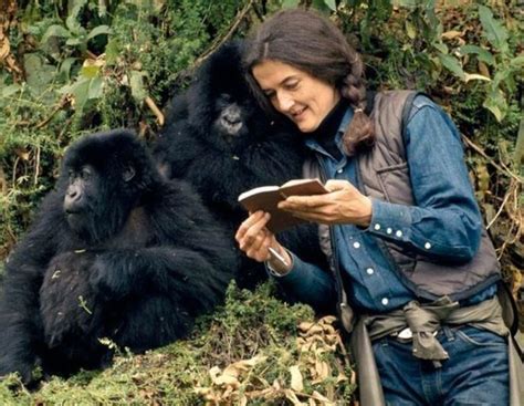 Heightened Awareness: Exploring Daisy Fossey's Impact on Gorilla Research