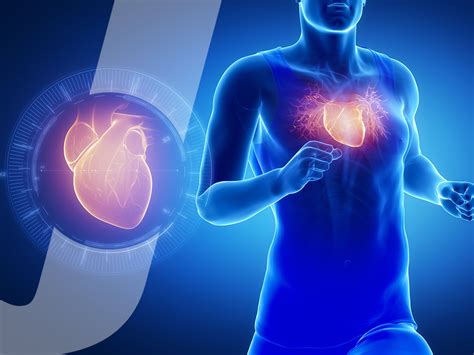 Improves Cardiovascular Health