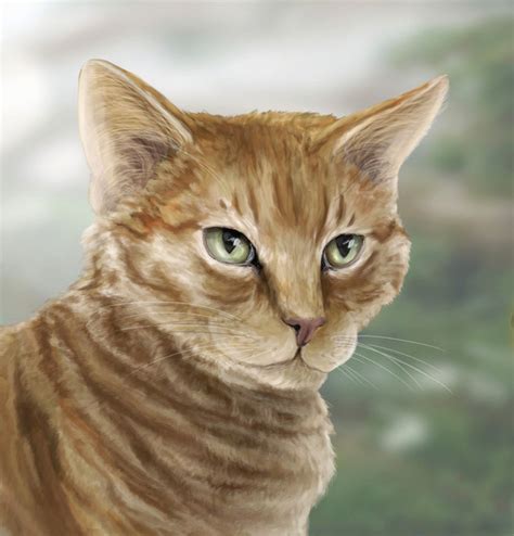 Insights into the Life and Journey of the Notorious Ginger Feline