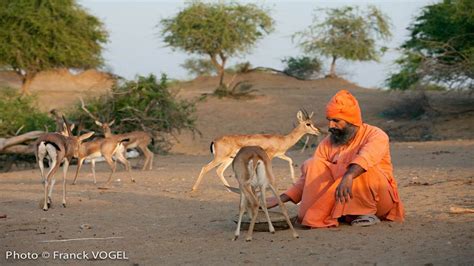 Lawrence Bishnoi: A Guardian of Nature and Wildlife