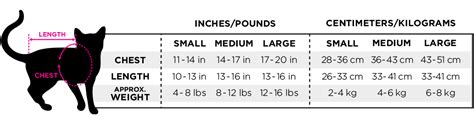 Measuring Up: Determining the Height of Meow Kitty