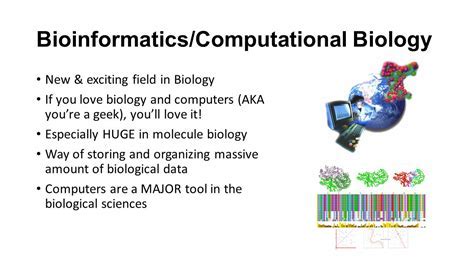 Mia Vpt Bio Analysis