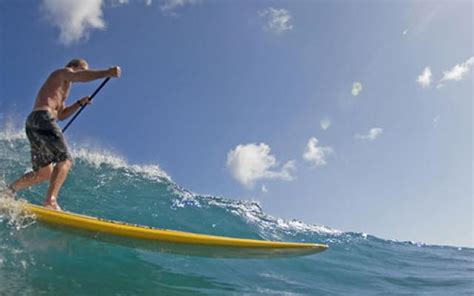 Navigating the Professional Surfing Scene: Conquering Waves and Chasing Dreams