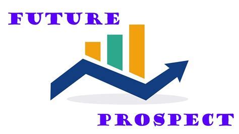 Net Value and Future Prospects