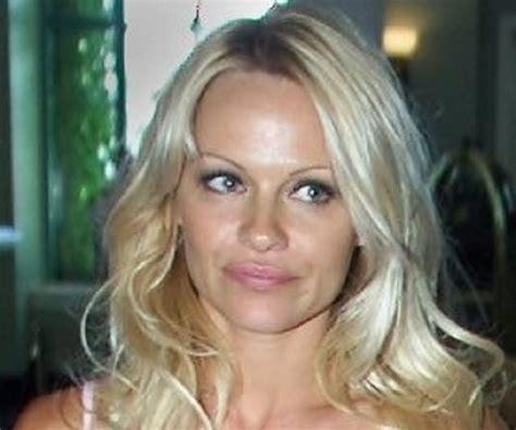 Pamela Anderson: An Extensive Life Chronicle