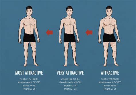 Physical Attributes: Height and Weight