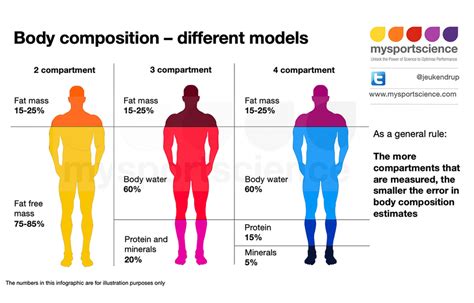 Physical Dimensions: Deciphering Mari's Body Composition