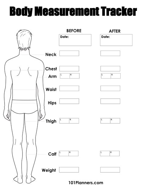 Physical Measurements and Body Statistics