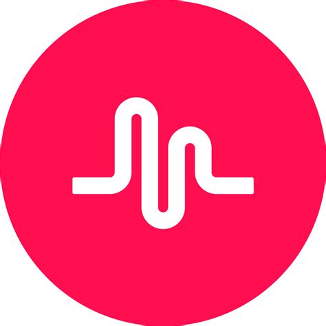 Rising to Fame on Musical.ly