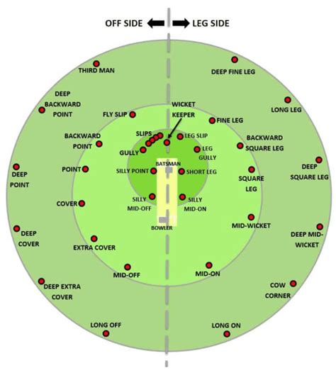 Role of stature in different cricket positions