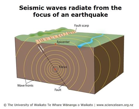 Shaping the Field of Earthquake Studies