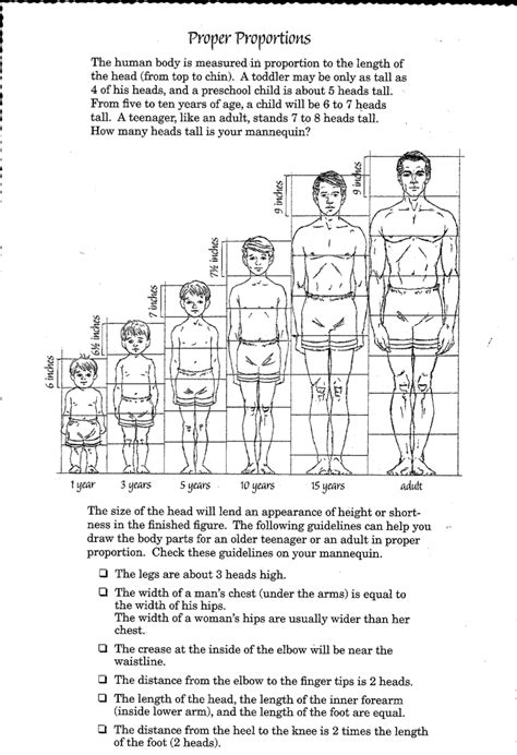 The Artist's Height and Physique