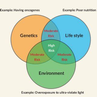 The Genetics and Lifestyle Factors