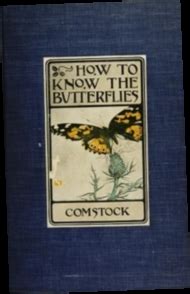 The Journey of Butterfli Love: A Biography