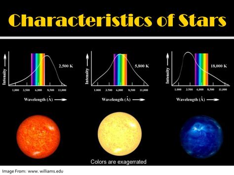 The Physical Attributes of a Superstar