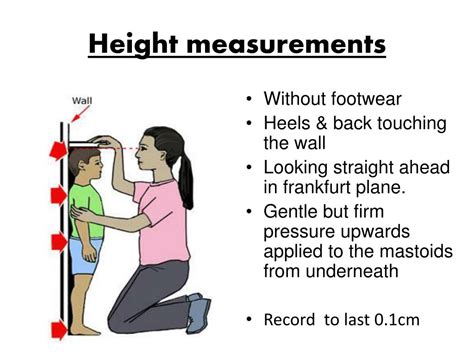 The Physical Presence: Captivating Measurements and Stature