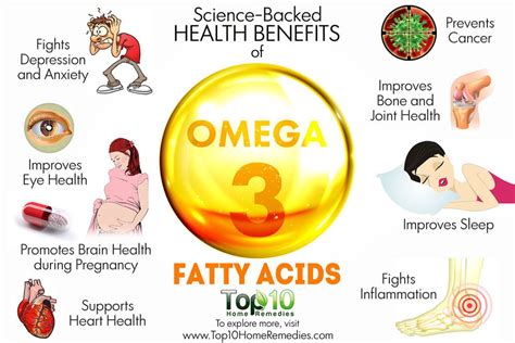 The Role of Omega-3 Fatty Acids in Cognitive Well-being