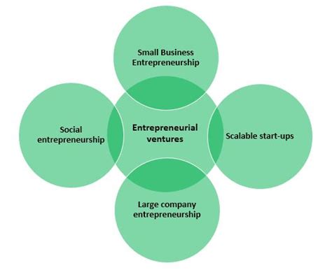 Transition into Mainstream Business Ventures and Entrepreneurship