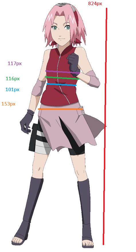 Uncovering Anna Sakura's Height and Figure
