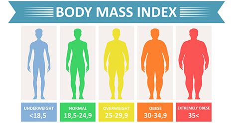 Understanding the Fundamentals of Achieving a Healthy Body Mass Reduction