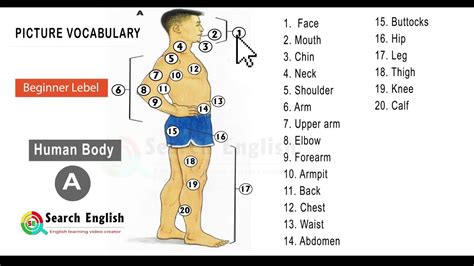 Unlocking the Secrets: Demystifying Malena's Stature and Physique