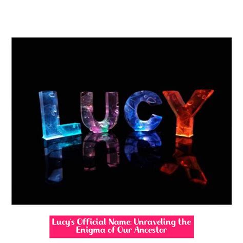 Unraveling the Enigma Behind Lucy Lucy's Astonishing Fortunes