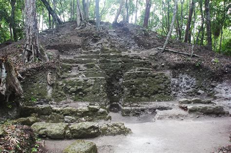 Unraveling the Mystery: Discovering Maya Midnight's Age