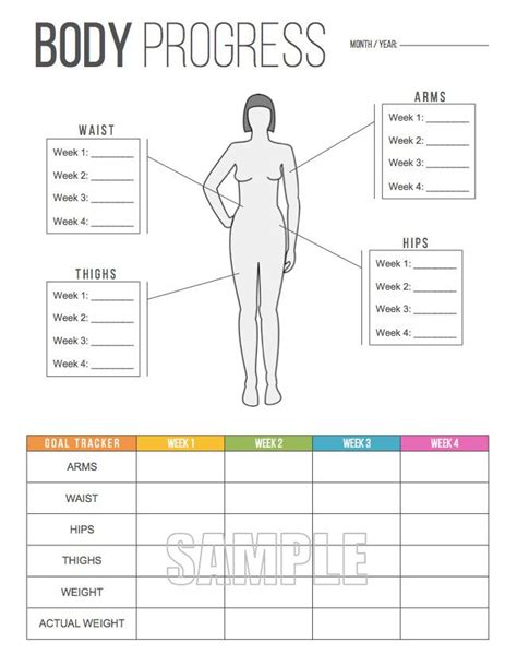 Unveiling Pyoapple's Figure: Body Measurements and Fitness Routine