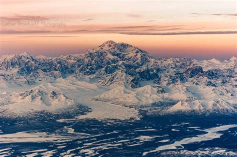 Unveiling the Intriguing Life Journey of Denali Winter