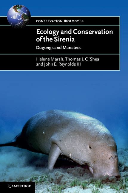 Unveiling the Net Worth and Economic Importance of Sirenia Conservation
