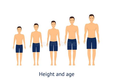 Unveiling the Numbers: Age, Height, and Figure