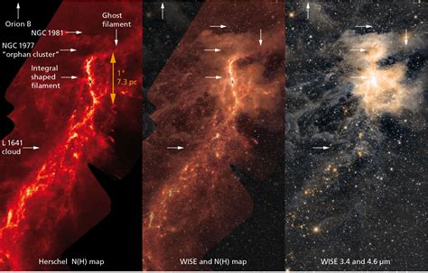 Unveiling the True Identity of a Mysterious Star