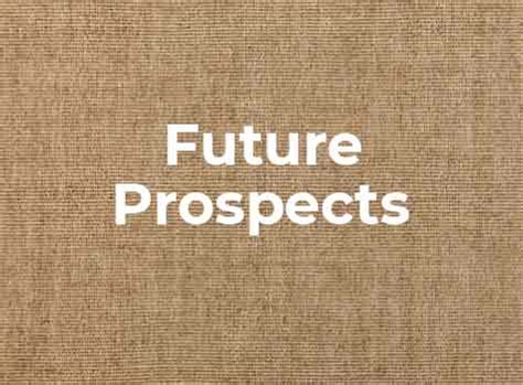 Zoya Shaikh's Impact on the Industry and Future Prospects